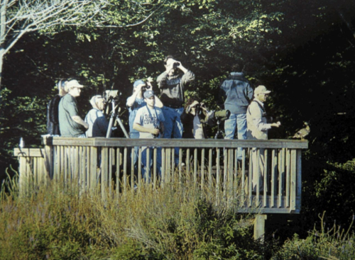 Old hour on the tower pic