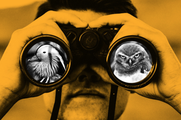 Screen Shot 2019-02-19 at 7.34.17 AM