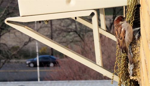 �Bob Leafe IMG_4201