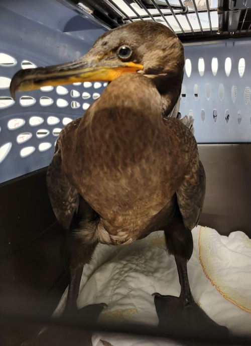 Resized_20220818_122254