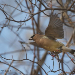 7W0A1457 (2) copyFor Jim