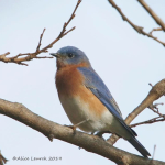 7W0A2089 (4) copyFor Jim