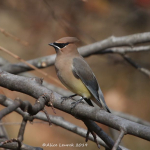 7W0A2074 (2) copyFor Jim