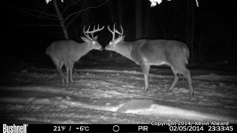 HUNT0159-001