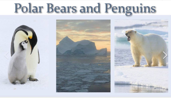 Screen Shot 2019-03-21 at 9.18.12 AM