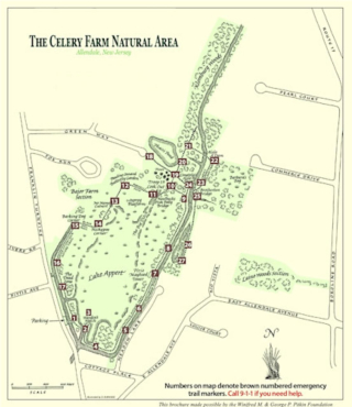 Screen Shot 2020-06-27 at 6.16.35 AM