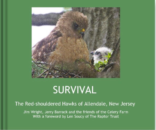 Survival cover