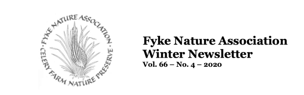 Screen Shot 2020-10-27 at 3.33.18 PM