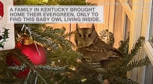 Screenshot 2023-12-18 at 4.02.55 AM