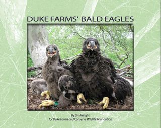 DF eagle e-book-001