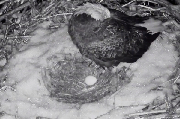 Screen Shot 2019-02-21 at 5.26.34 AM