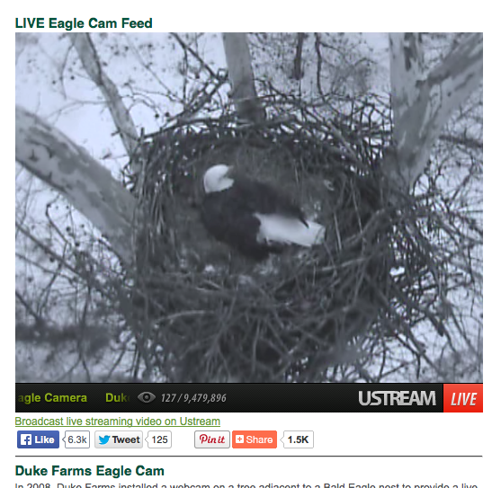 Screen Shot 2015-02-16 at 5.35.27 PM
