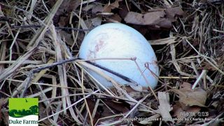 Snap_cam1_19_02_2016_13_13_39_01