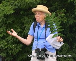 IMG_1765-1