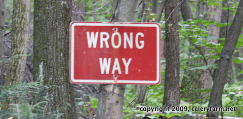Wrong way