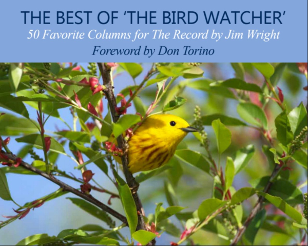 Best of Bird Watcher cover (1)