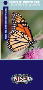 Screen Shot 2018-07-10 at 12.11.43 PM