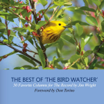 Bird Watcher Cover