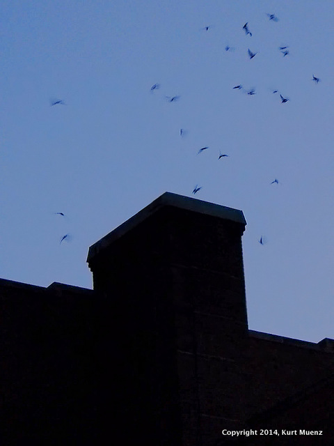 OLMC School Chimney-9-22-14--1910 hrs-a
