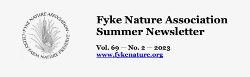 Screenshot 2023-04-04 at 12.37.58 PM