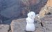 1-DSCN0399