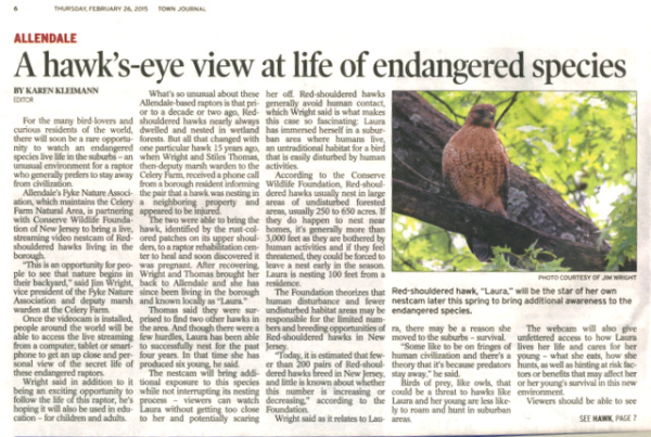 Town Journal RS Hawk Story a