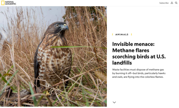 Screen Shot 2020-12-01 at 11.01.54 AM