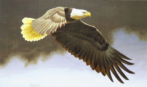 American Eagle - Guy Coheleach 2005