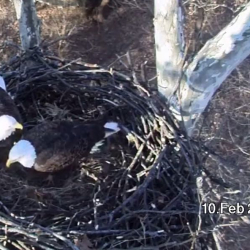 Screen Shot 2019-02-10 at 8.15.35 AM