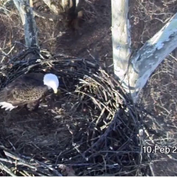 Screen Shot 2019-02-10 at 8.10.48 AM