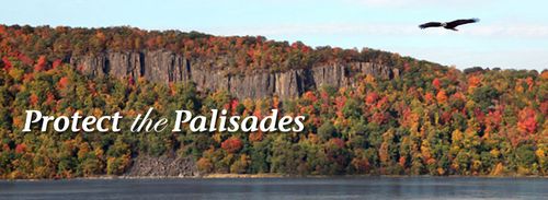 Protectthepalisades