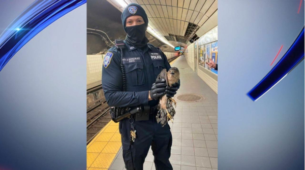 Screen Shot 2020-12-19 at 3.26.57 PM