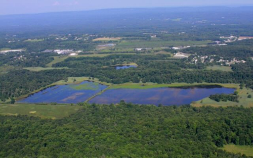 TNC LIGHTHAWK hyper humus JW _MG_9140