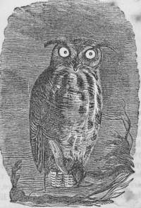 Screenshot 2024-10-31 at 8.42.09 AM