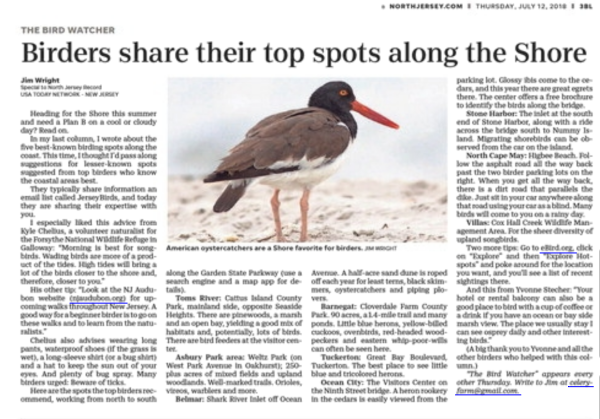 Screen Shot 2018-07-12 at 8.51.59 AM