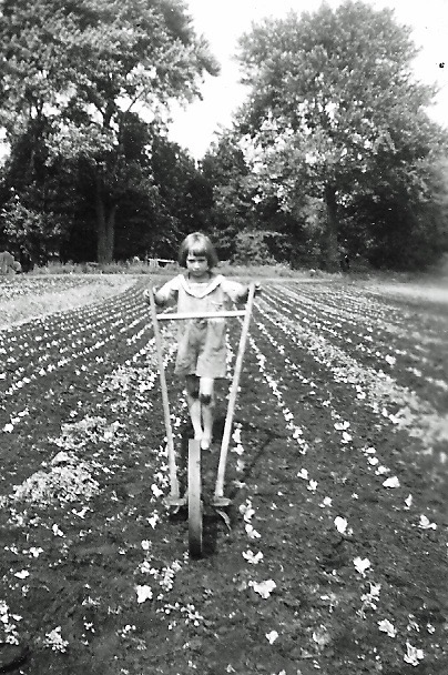 Bertha Bajor behind the harrow