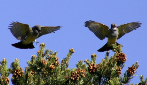 Screen Shot 2019-10-14 at 2.28.29 PM