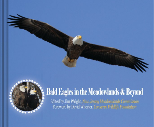 Bald Eagles in the Meadowlands cover