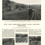 Country Life 1906 Burroughs page 1(1)