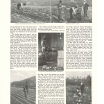Country Life Burroughs1906 page 2(2)