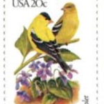 Screen Shot 2020-01-17 at 12.23.28 PM