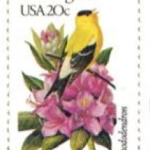 Screen Shot 2020-01-17 at 12.23.39 PM