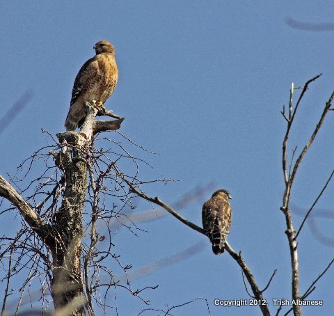 Laura%20and%20friend