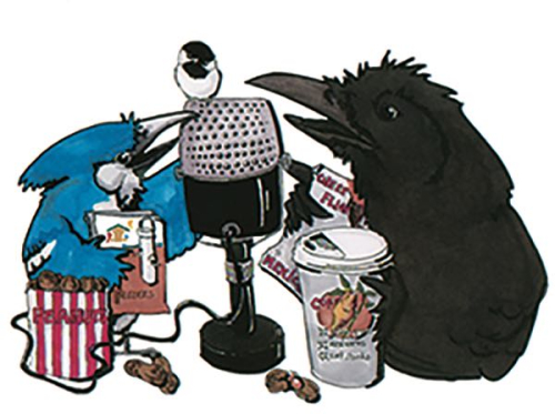 BirdTalk Logo Color clean med