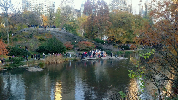 F Virrazzi onlookers at Central Park 1