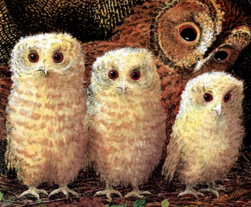 Img20220126_16063458 (2)