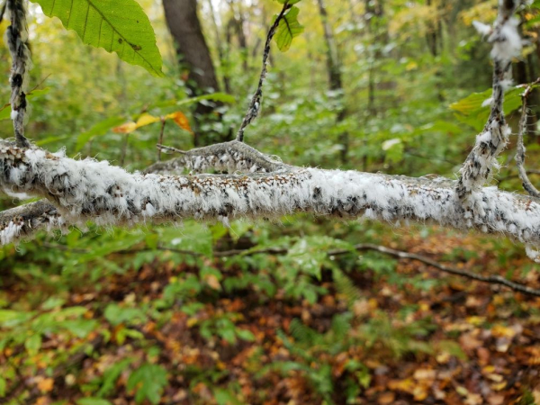 Resized_20181013_103048(2)(1)