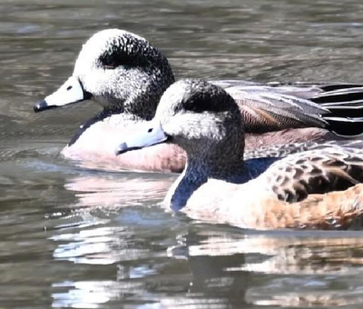 Screenshot 2025-03-24 at 7.02.24 PM