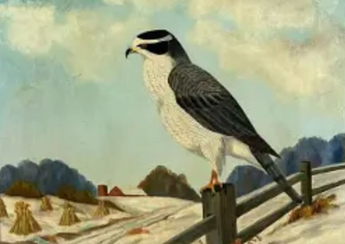 Screenshot 2023-04-21 at 1.49.59 PM (1)