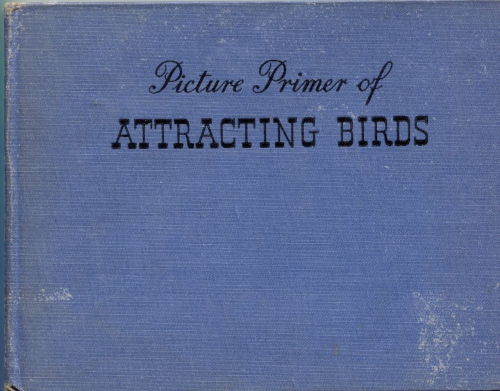 Img20230702_18583927 (1)